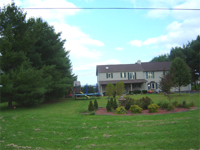 Tree planted as a barrier provide an acoustical and visual fence between neighbors